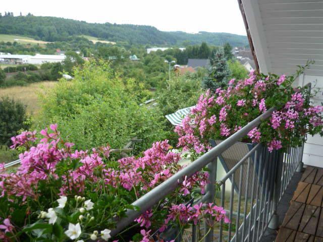 Gastehaus Rosengarten Im Nahetal Kirn Room photo